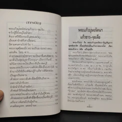 อดีตพิศวง - น้าแปลก รูปที่ 5