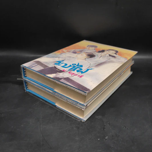 ระบำไฟ 2 เล่มจบ - ม.มธุการี รูปที่ 4
