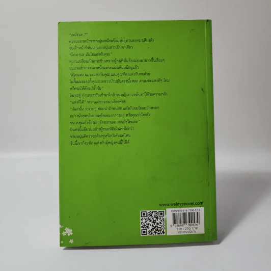 เส้นรุ้งที่ขอบฟ้า - สายไหม รูปที่ 3