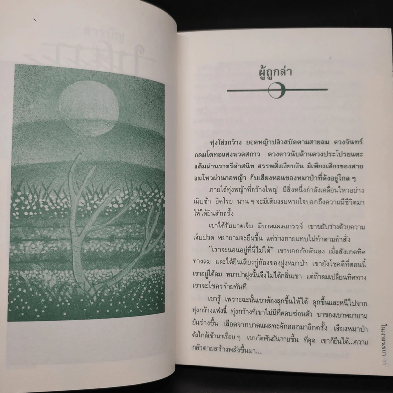 ในเงาสนธยา - ชลนิล รูปที่ 6