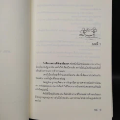 หลุม (มูลนิธิดำรงชัยธรรม) - หลุยส์ ซาซาร์ รูปที่ 7
