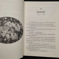 อกเกือบหักแอบรักคุณสามี - นาวาร้อยกวี รูปที่ 6