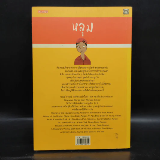 หลุม (มูลนิธิดำรงชัยธรรม) - หลุยส์ ซาซาร์ รูปที่ 2