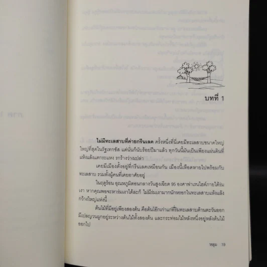 หลุม (มูลนิธิดำรงชัยธรรม) - หลุยส์ ซาซาร์ รูปที่ 7