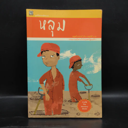 หลุม (มูลนิธิดำรงชัยธรรม) - หลุยส์ ซาซาร์ รูปที่ 1