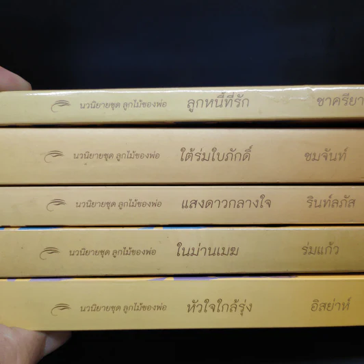 นวนิยายชุด ลูกไม้ของพ่อ 5 เล่มจบ รูปที่ 5