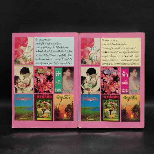 ชบาริมวัง 2 เล่มจบ - บุษยมาส รูปที่ 2