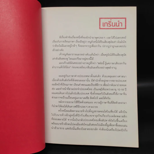 จื้อไจ้ไชนีส - อนุรักษ์ กิจไพบูลทวี รูปที่ 5