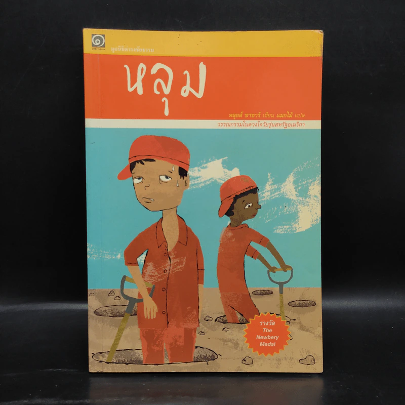 หลุม (มูลนิธิดำรงชัยธรรม) - หลุยส์ ซาซาร์ รูปที่ 1
