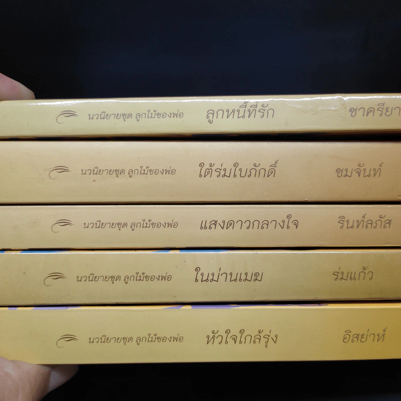 นวนิยายชุด ลูกไม้ของพ่อ 5 เล่มจบ รูปที่ 5