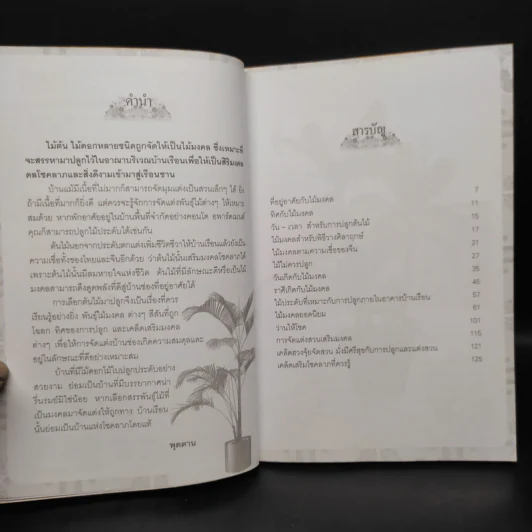 ปลูกไม้มงคล จัดสวนโชคลาภ - พุดตาน รูปที่ 6