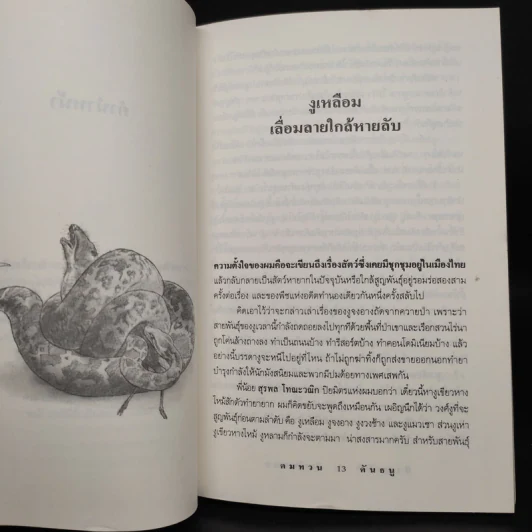 ป่าระบัด สัตว์สลวย - คมทวน คันธนู รูปที่ 6