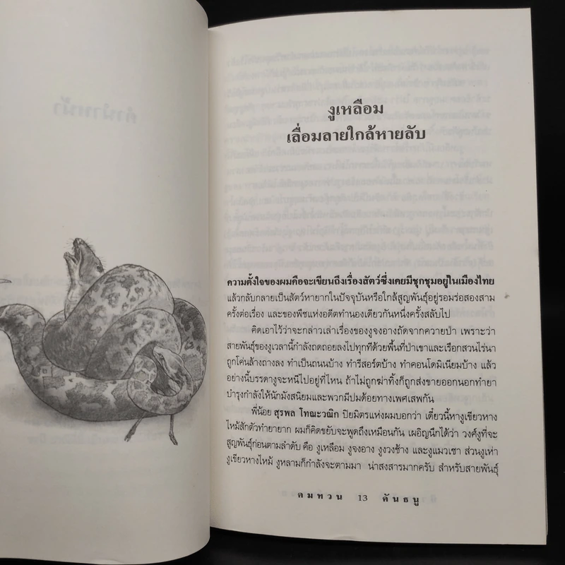 ป่าระบัด สัตว์สลวย - คมทวน คันธนู รูปที่ 6