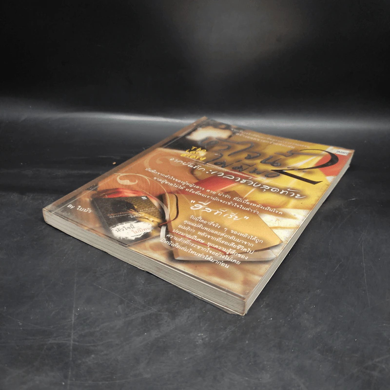 หัวใจนี้ไม่มีพอ 2 The Last Diary จากบันทึกเวลาช่วงสุดท้าย รูปที่ 4