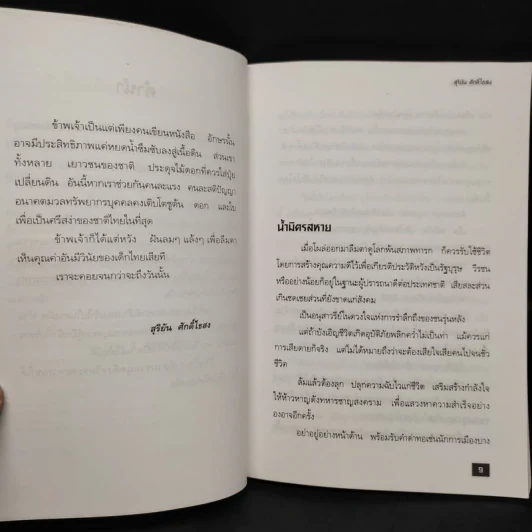 นักฆ่าเลือดเดือด - สุริยัน ศักดิ์ไธสง รูปที่ 6