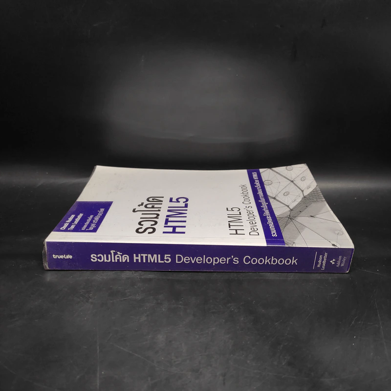 รวมโค้ด HTML5 Developer's Cookbook รูปที่ 3