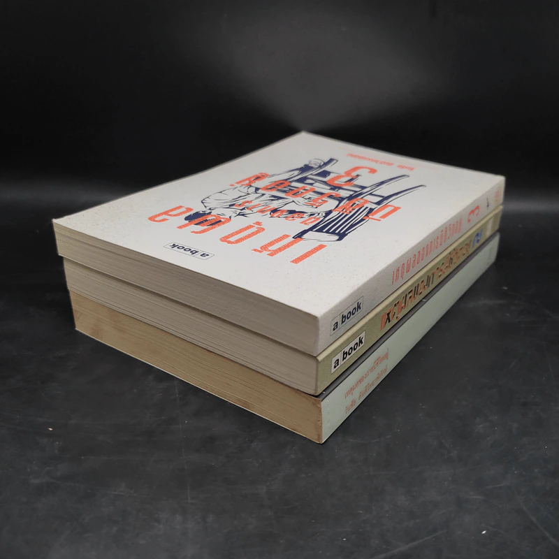 เหตุผลของการมีชีวิตอยู่ เล่ม 1-3 - วันชัย ตันติวิทยาพิทักษ์ รูปที่ 4