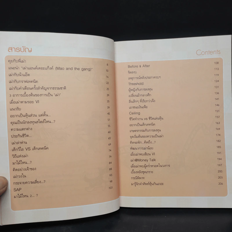 เล่นหุ้นกับพี่เม่า - ไม้ไต่คู้ รูปที่ 6