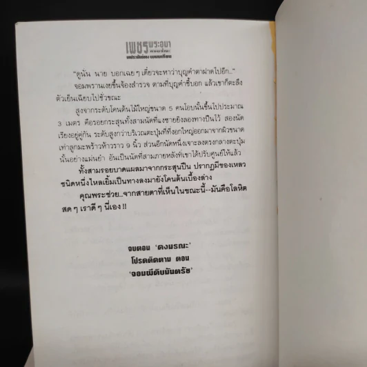 เพชรพระอุมา ตอน ดงมรณะ 4 เล่ม - พนมเทียน รูปที่ 9