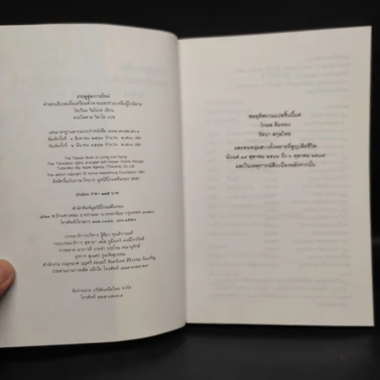 ประตูสู่สภาวะใหม่ จาก The Tibetan Book of Living And Dying - โซเกียล รินโปเช (พระไพศาล วิสาโล แปล) รูปที่ 5