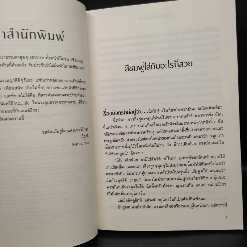 โองการล่าอสูร + ภูตสูบวิญญาณ + สงครามสองภพ 3 เล่มจบ - เคียร์สเต็น ไวท์ รูปที่ 15
