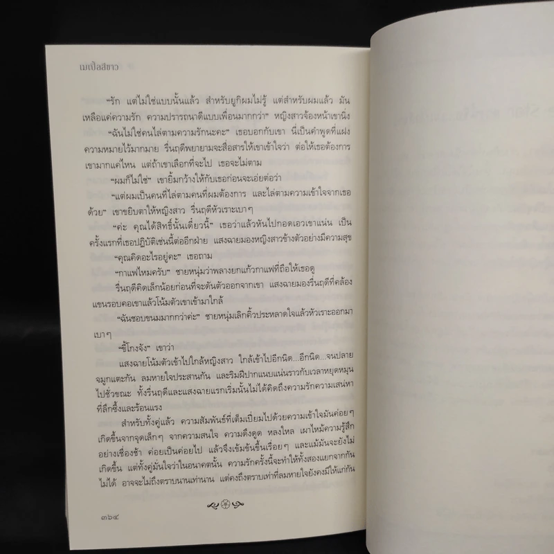ถ้าหากฉันรัก - เมเปิ้ลสีขาว รูปที่ 7
