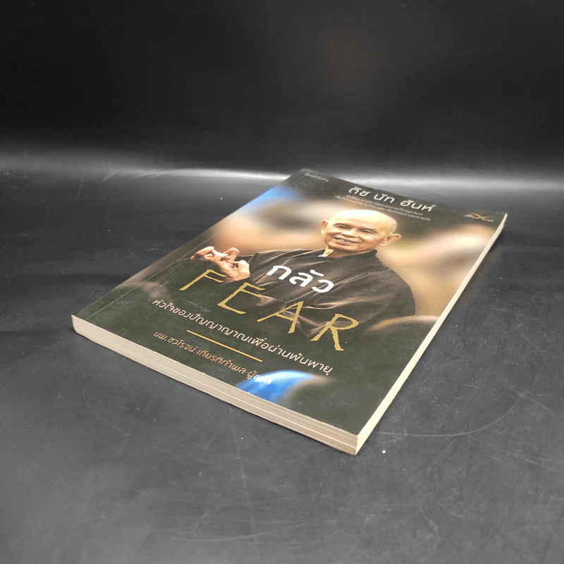 กลัว Fear - ติช นัท ฮันห์ รูปที่ 4
