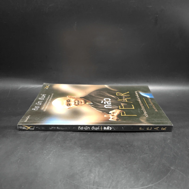 กลัว Fear - ติช นัท ฮันห์ รูปที่ 3