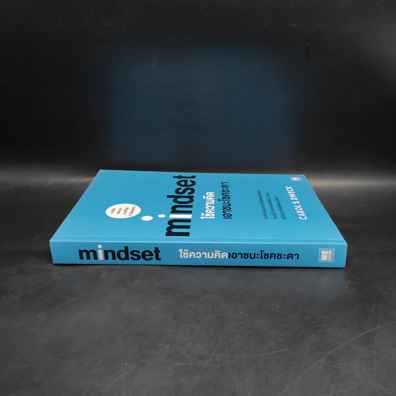 Mindset ใช้ความคิดเอาชนะโชคชะตา - Carol S.Dweck รูปที่ 3