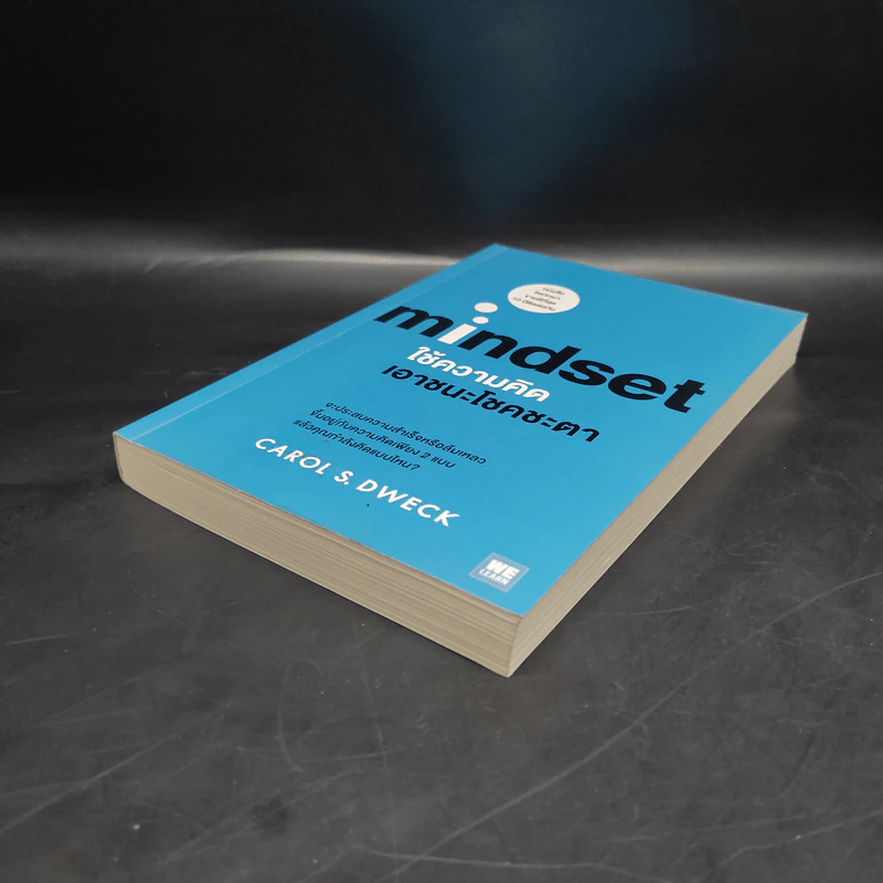 Mindset ใช้ความคิดเอาชนะโชคชะตา - Carol S.Dweck รูปที่ 4