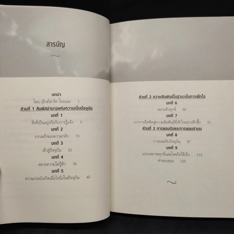 การฝึกปฏิบัติพลังแห่งจิตปัจจุบัน - เอ็กค์ฮาร์ท โทลเลอ รูปที่ 6