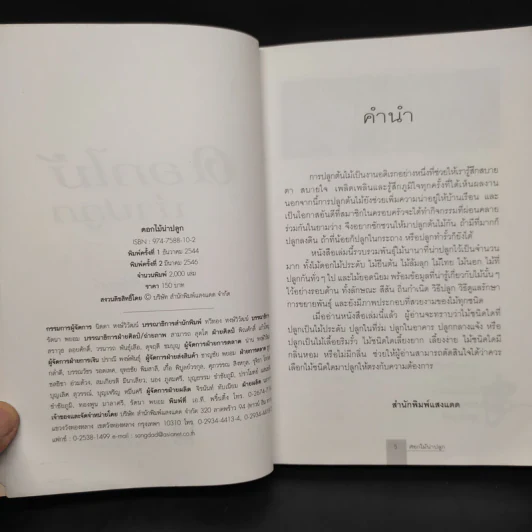 ดอกไม้น่าปลูก - ดวงแก้ว ศรีลักษณ์ รูปที่ 5