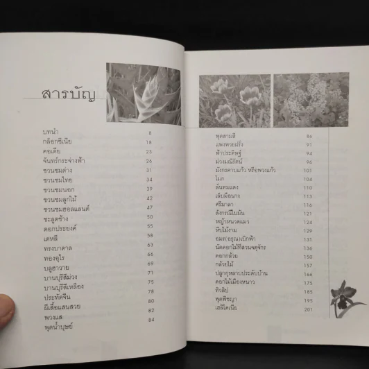 ดอกไม้น่าปลูก - ดวงแก้ว ศรีลักษณ์ รูปที่ 6