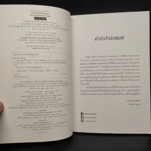 เราต่างหลงทางในแสงสว่าง - เอ็ม. แอล. สเตดแมน รูปที่ 5