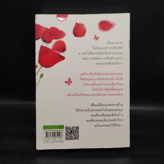 จ้าวพายุ - อาริตา รูปที่ 2
