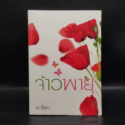 จ้าวพายุ - อาริตา รูปที่ 1