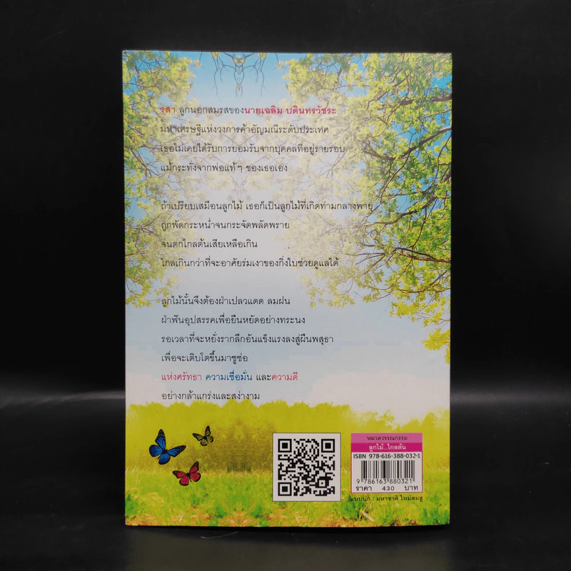 ลูกไม้ไกลต้น - โสภี พรรณราย รูปที่ 2