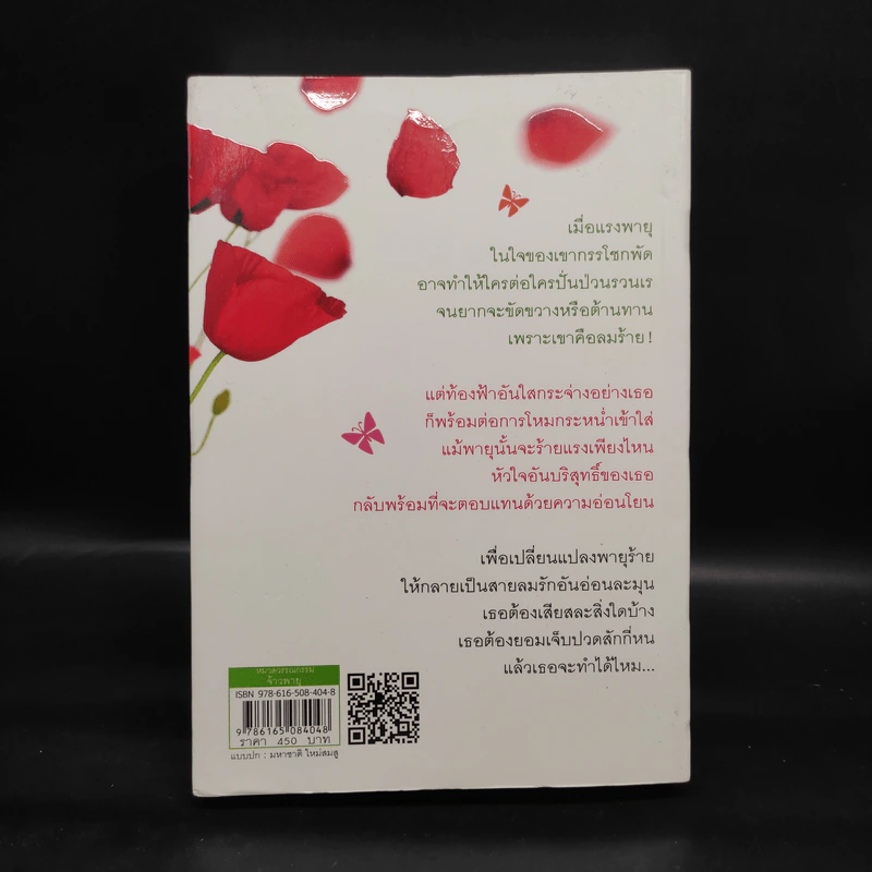 จ้าวพายุ - อาริตา รูปที่ 2