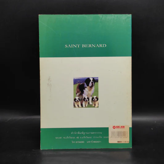 เซนต์ เบอร์นาร์ด Saint Bernard - ราเชนทร์ ชมภูมิ่ง รูปที่ 2