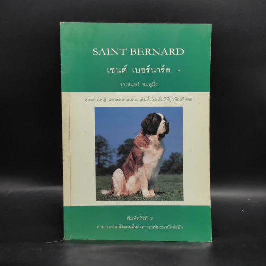 เซนต์ เบอร์นาร์ด Saint Bernard - ราเชนทร์ ชมภูมิ่ง รูปที่ 1