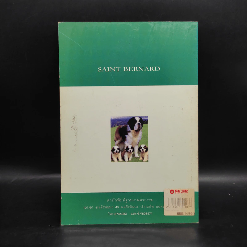 เซนต์ เบอร์นาร์ด Saint Bernard - ราเชนทร์ ชมภูมิ่ง รูปที่ 2
