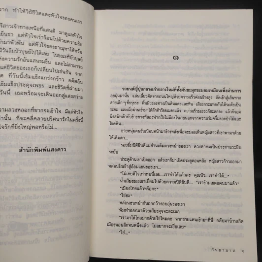 ภาพรักลวงใจ - กันยามาส รูปที่ 6