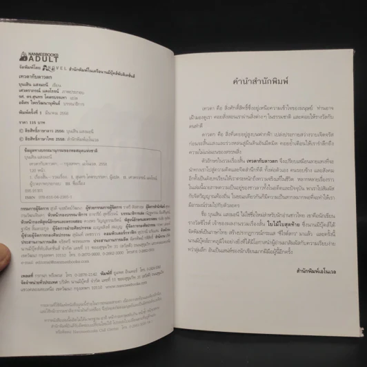 เทวดากับดาวตก - บุนเสิน แสงมะนี รูปที่ 5
