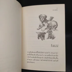 พราวแสงรุ้ง - วาวแพร รูปที่ 7