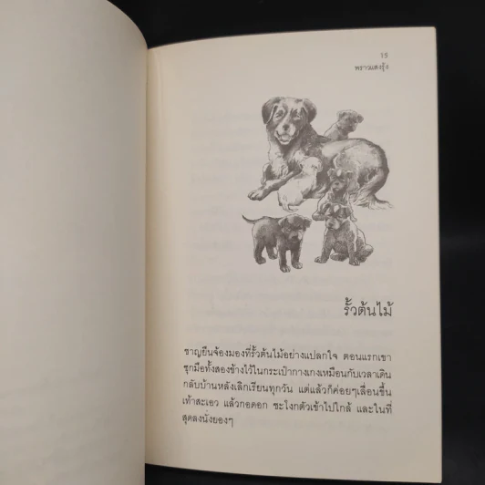 พราวแสงรุ้ง - วาวแพร รูปที่ 7