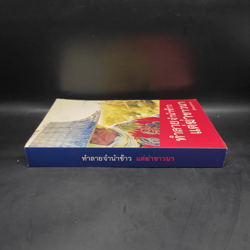 ทำลายจำนำข้าว แต่ฆ่าชาวนา - ลูกชาวนา รูปที่ 3