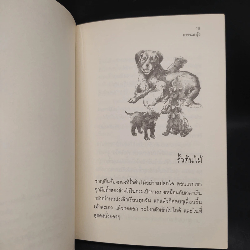 พราวแสงรุ้ง - วาวแพร รูปที่ 7