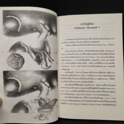 เล่าเรื่องสมมติในอดีต - อำนวย วีรวรรณ รูปที่ 5