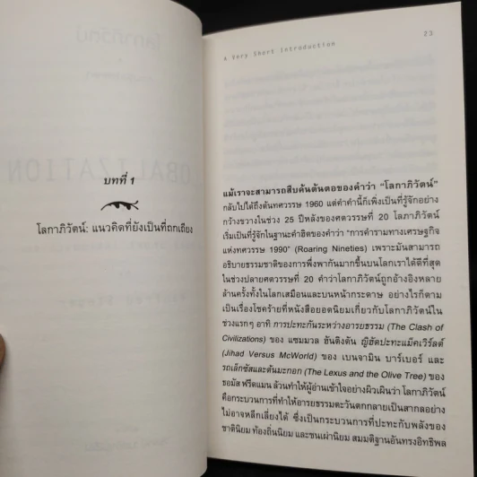 โลกาภิวัตน์ : ความรู้ฉบับพกพา - Manfred Steger (แมนเฟร็ด สเตเกอร์) รูปที่ 7