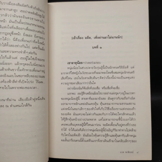 พลิ้วไปในพรายเวลา - ผาด พาสิกรณ์ รูปที่ 6